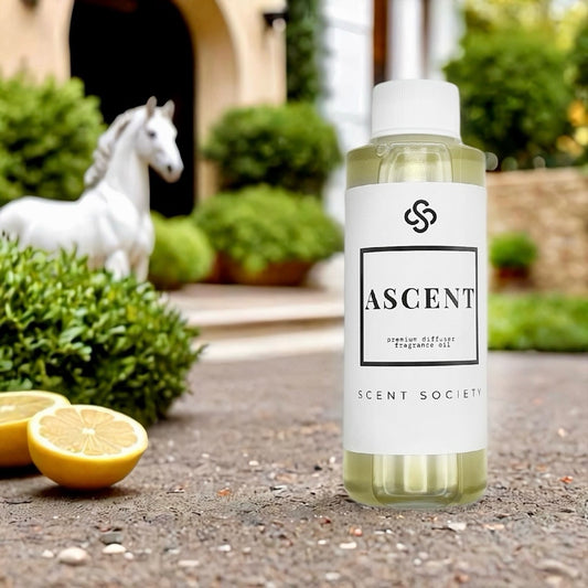 Clear 100ml bottle of Scent Society ASCENT premium diffuser fragrance oil, laveled in white with black text, placed on a stone walkway in front of lush greenery, lemon halves, and a white decorative horse statue, evoking a bright citrus-inspired scent inspired by Creed Aventus.