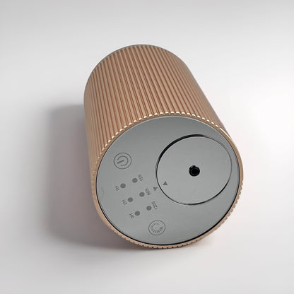 ENTRANCE SCENT DIFFUSER